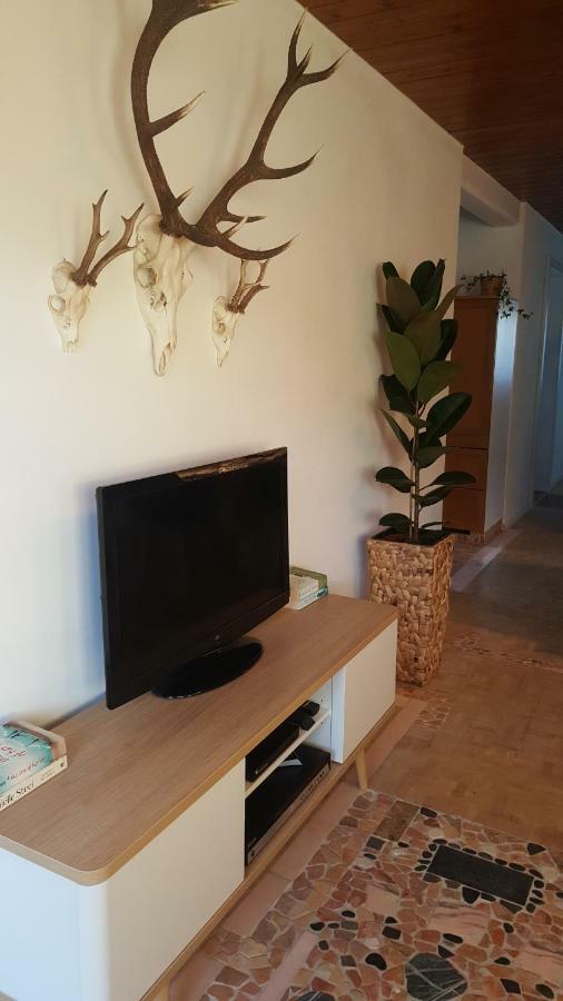 Appartement Unterbergblick 코센 외부 사진