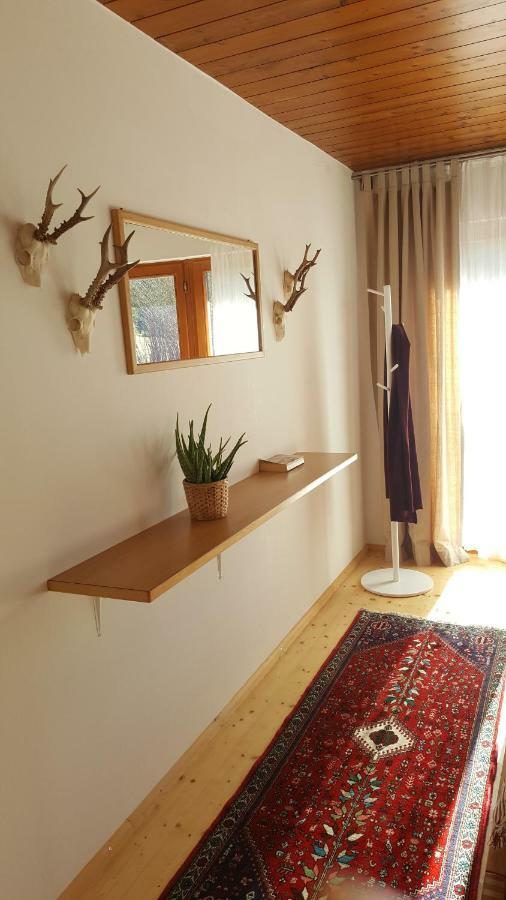 Appartement Unterbergblick 코센 외부 사진